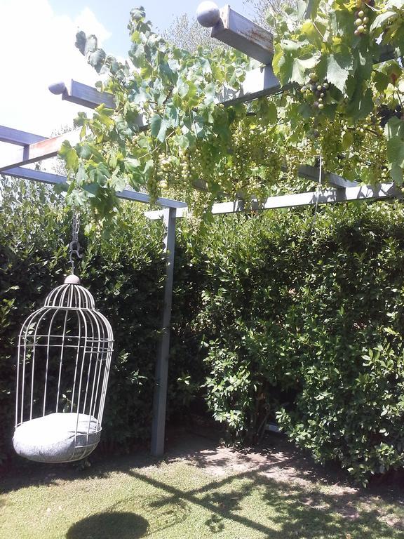 Residenza Teodorico Re B&B Βιτέρμπο Εξωτερικό φωτογραφία