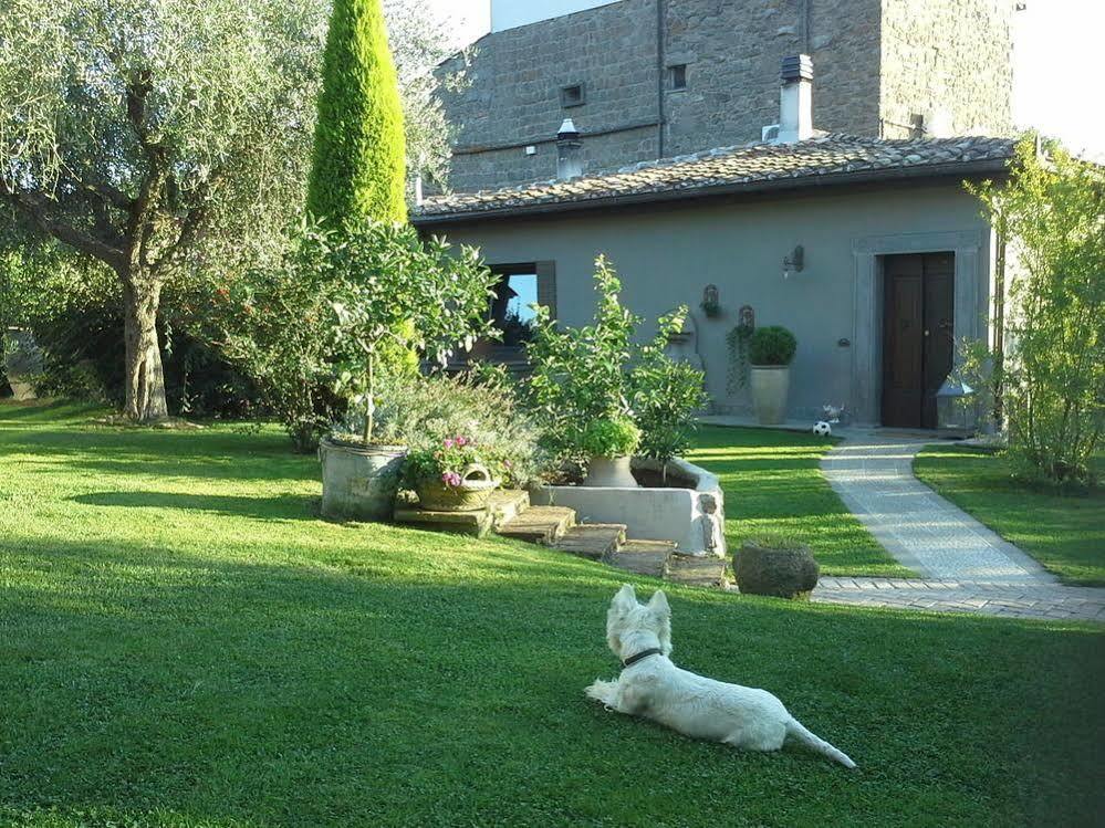 Residenza Teodorico Re B&B Βιτέρμπο Εξωτερικό φωτογραφία